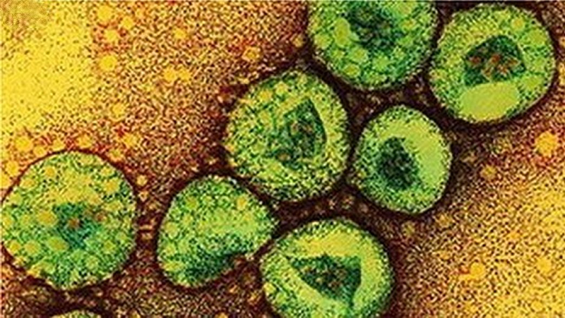 Illustration for article titled Are We At The Dawn Of The Age of Epidemics?